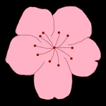 日批视频图片